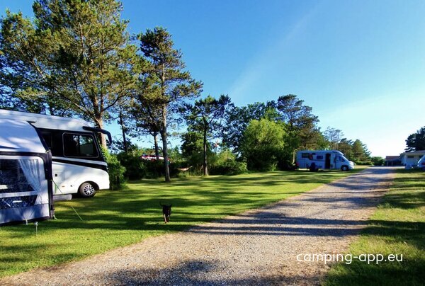 Stellplatz Krik Vig Camping ***