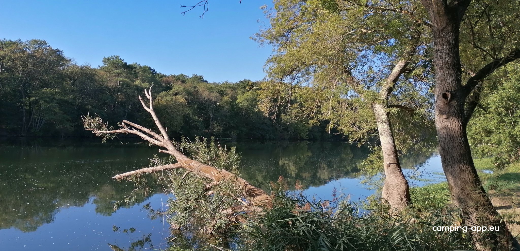 Camping Municipal de l'Ecluse — Foto 5