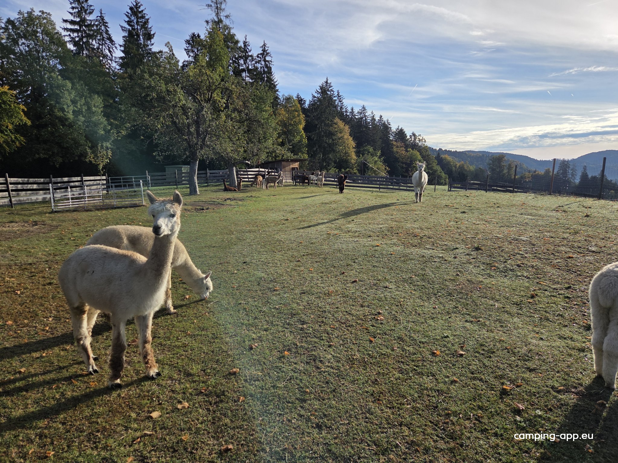 La Paca am Bio Schusterbauerhof