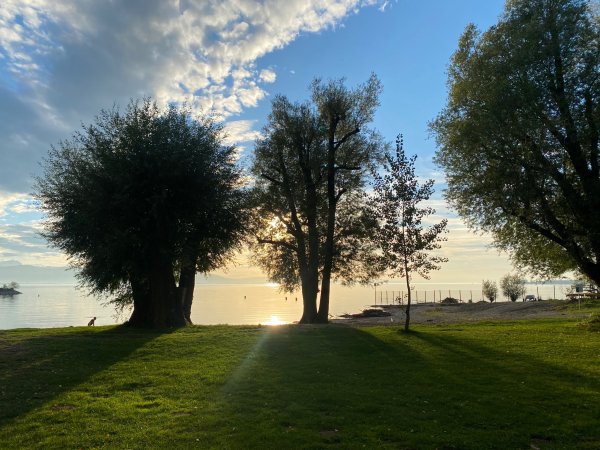 Stellplatz am Park-Camping Lindau — Photo 2