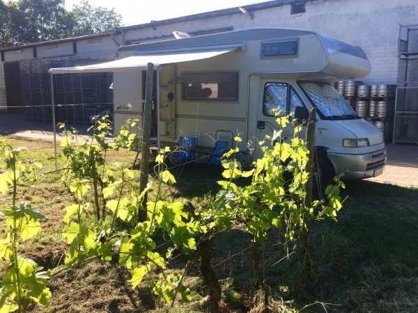 Stellplatz am Weingut Seck Dolgesheim — Winery in Dolgesheim