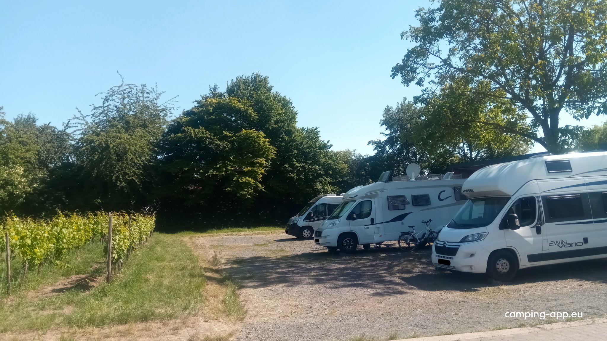 Stellplatz am Weingut Seck Dolgesheim — Azienda vinicola in Dolgesheim