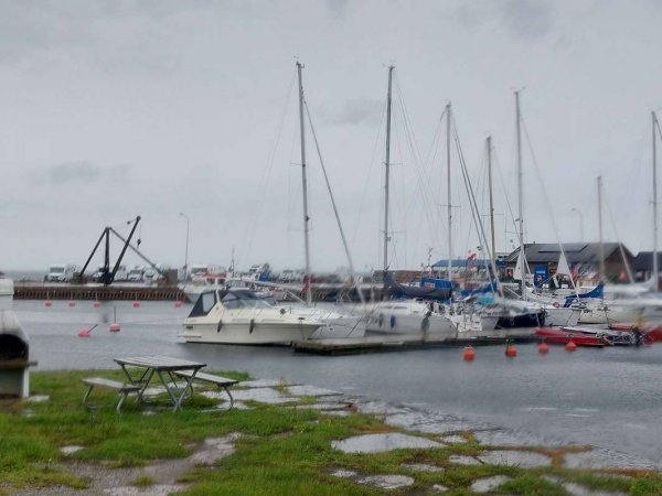 Hafen Sandvik — Photo 3