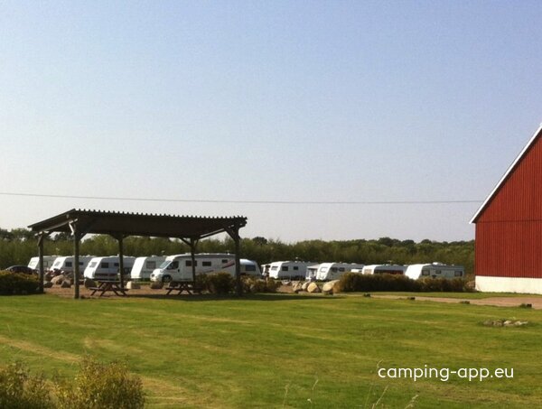 Bläsinge Gård Camping — Foto 2