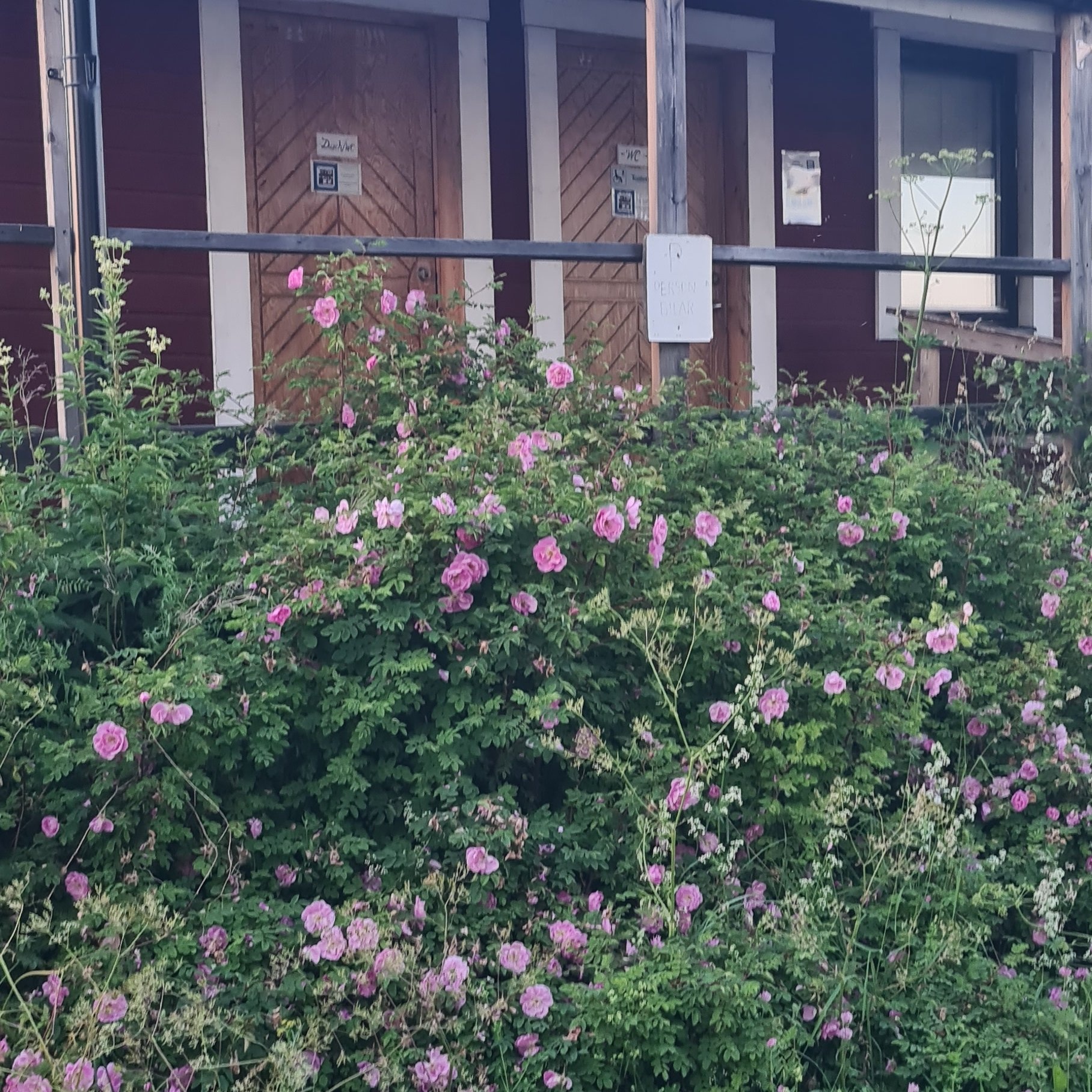 Trångsviken — Aire camping car in Trångsviken