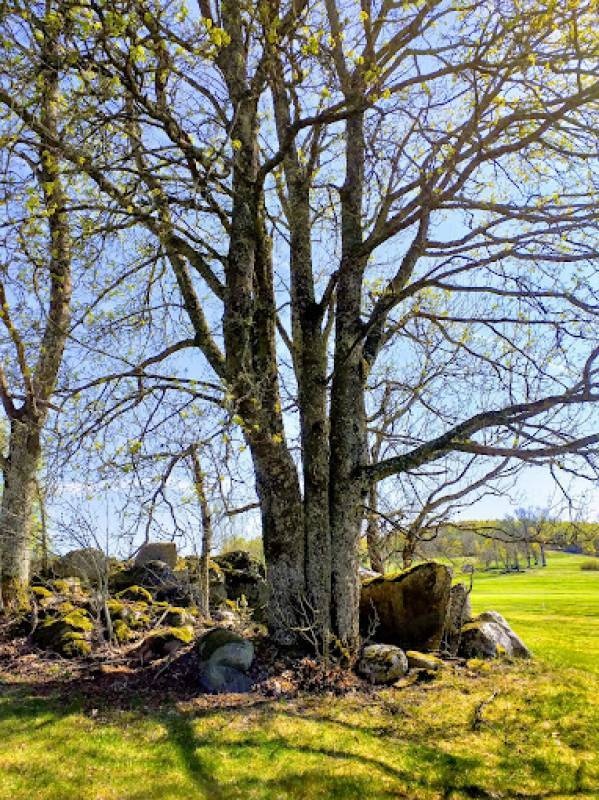 Skinnarebo Hobby Caravan Golf — Bobilplass in Jönköping