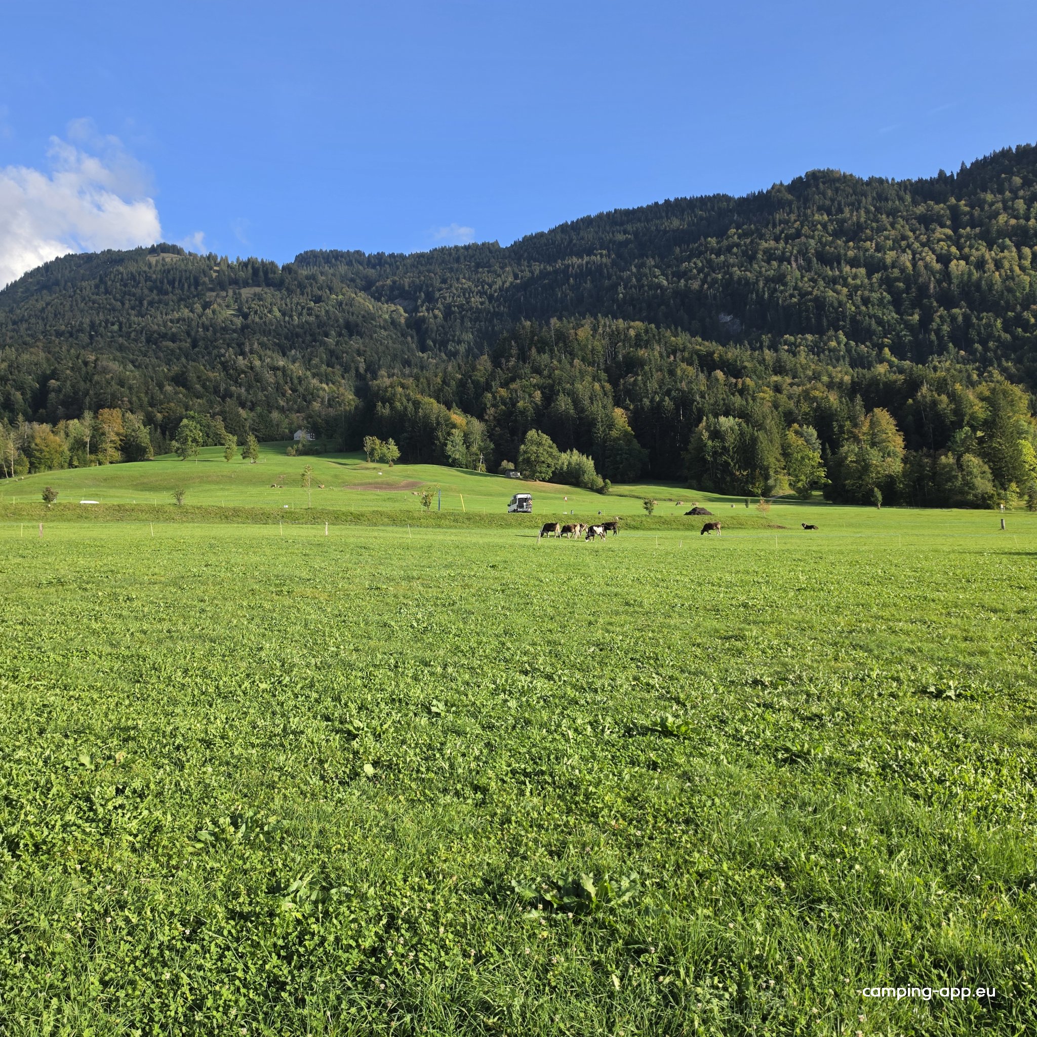 Flugzentrum Bregenzerwald — Fotoğraf 2