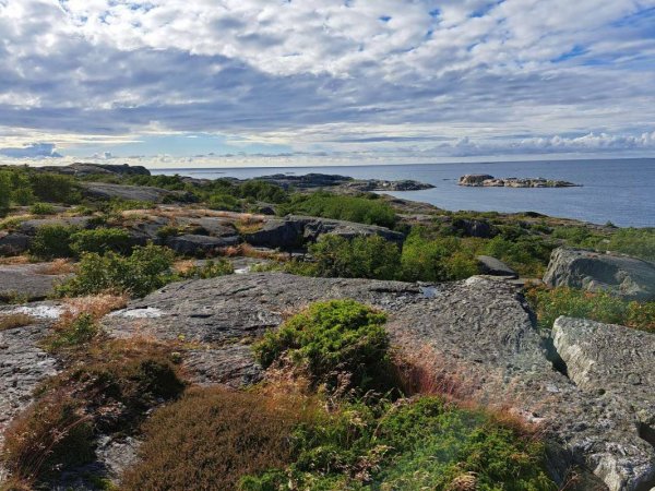 Hönö Hamn — Photo 4