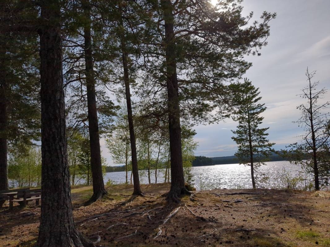 Moskosel — Місце для кемперів in Moskosel
