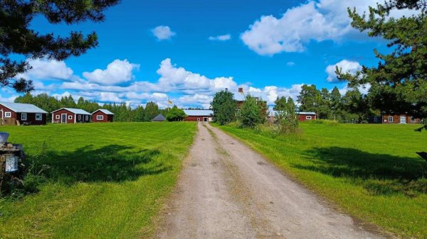 Renvallens Stugby — Photo 2