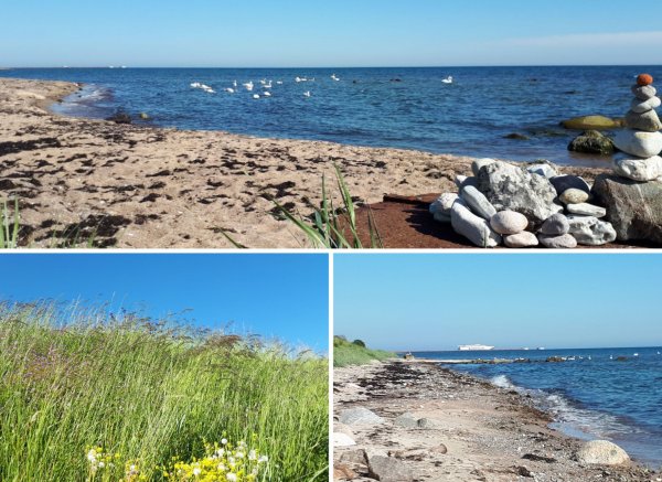Västerleden Ystad — Photo 4