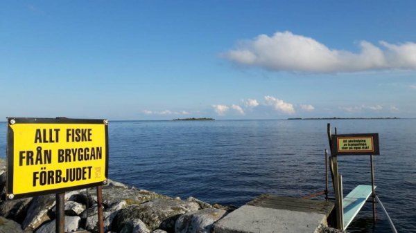 Tosteberga Hamn — Photo 2