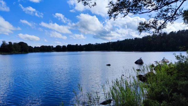 Långasjönäs Camping & Stugby — Photo 2