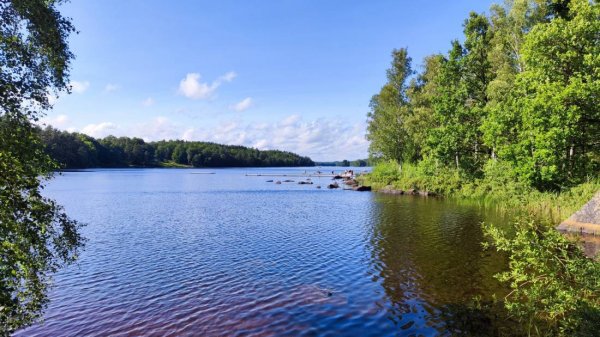 Långasjönäs Camping & Stugby — Photo 5