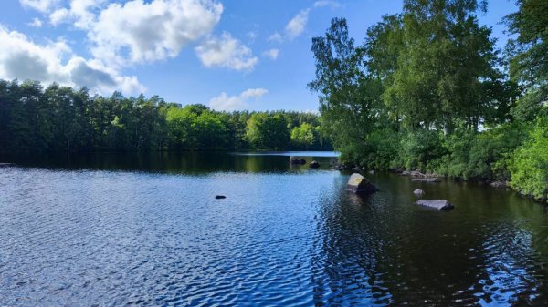 Långasjönäs Camping & Stugby — Photo 4