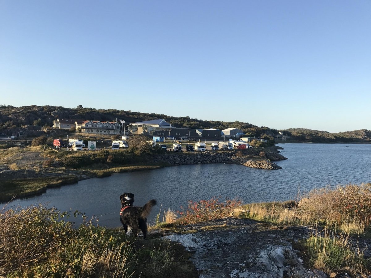 Marstrand — Camperplads in Marstrand