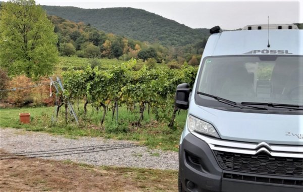 Stellplatz am Weingut Müller-Kern — Photo 3