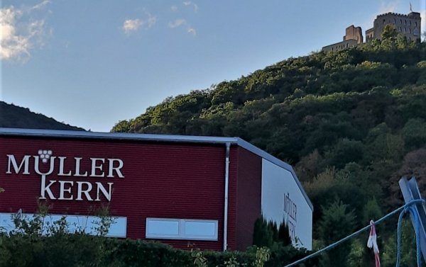 Stellplatz am Weingut Müller-Kern — Photo 5
