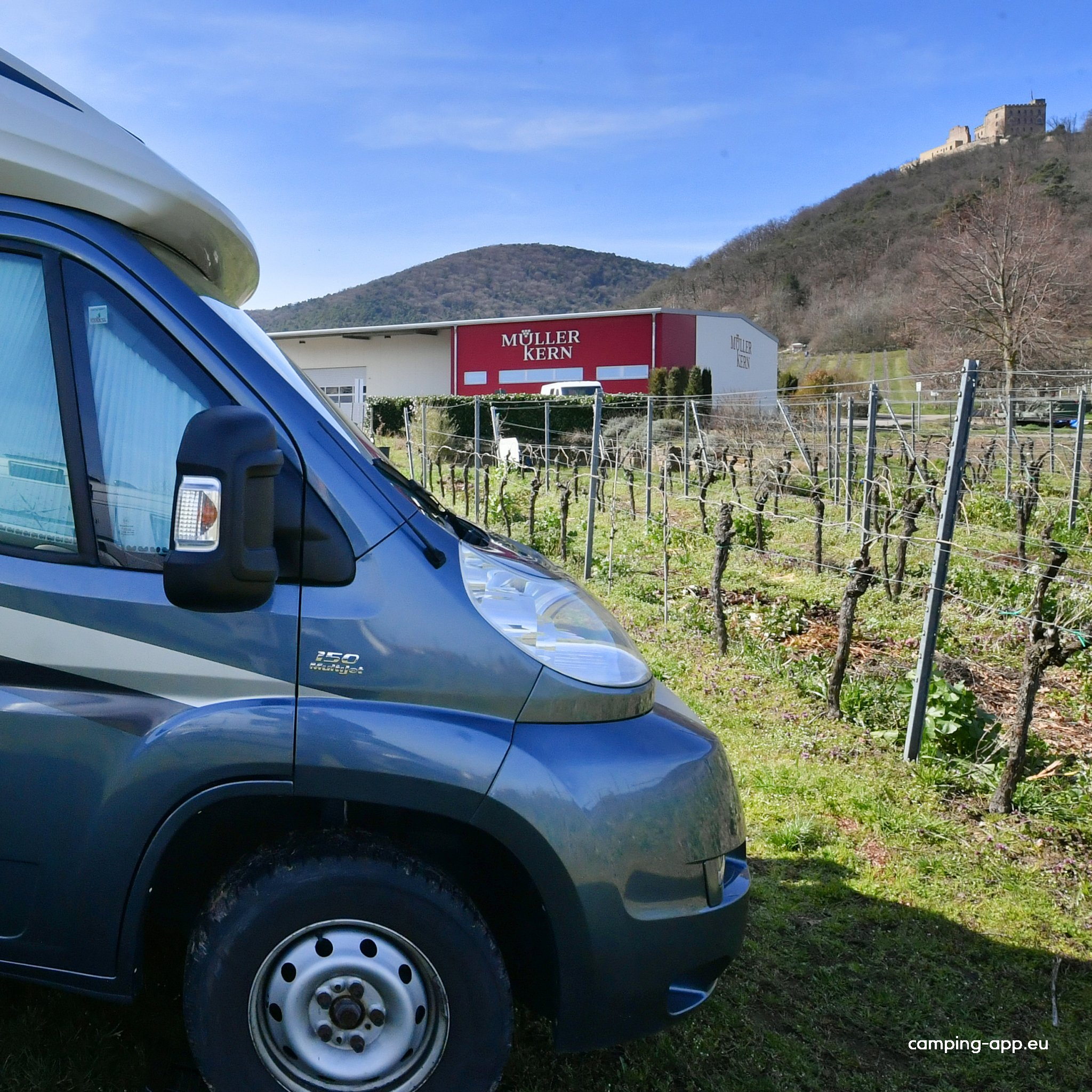 Stellplatz am Weingut Müller-Kern — Weingut in Hambach