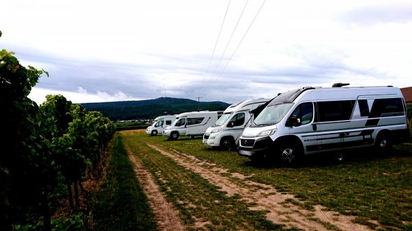 Stellplatz am Weingut Schäfer — Photo 2