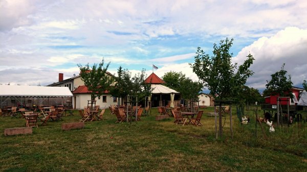 Stellplatz am Weingut Schäfer — Photo 3