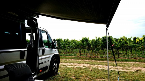 Stellplatz am Weingut Schäfer — Photo 4