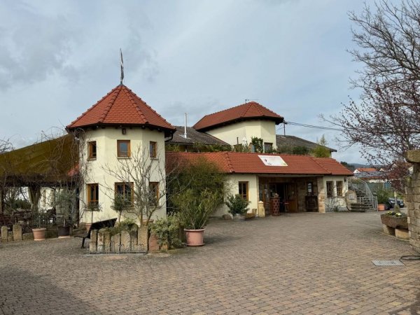 Stellplatz am Weingut Schäfer — Foto 4