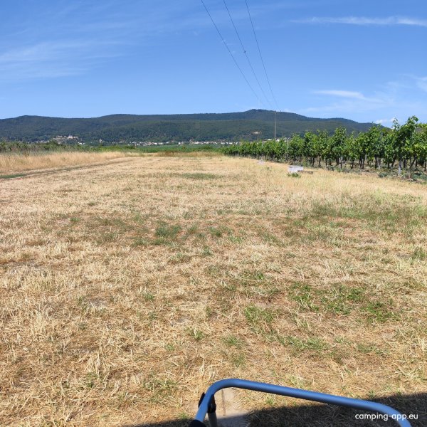Stellplatz am Weingut Schäfer — Foto 2
