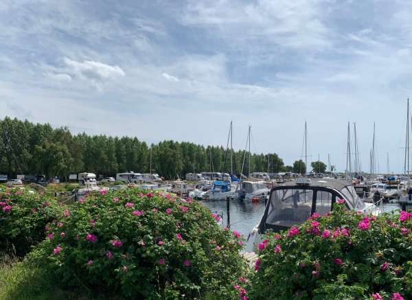 Lundåkrahamnen — Photo 6