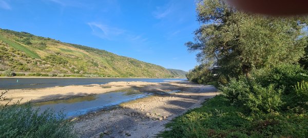 Campingplatz Oberwesel — Photo 5