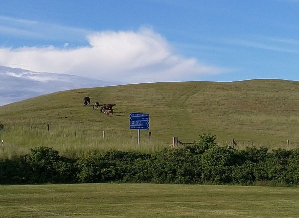 Kåseberga Löderup — Photo 2