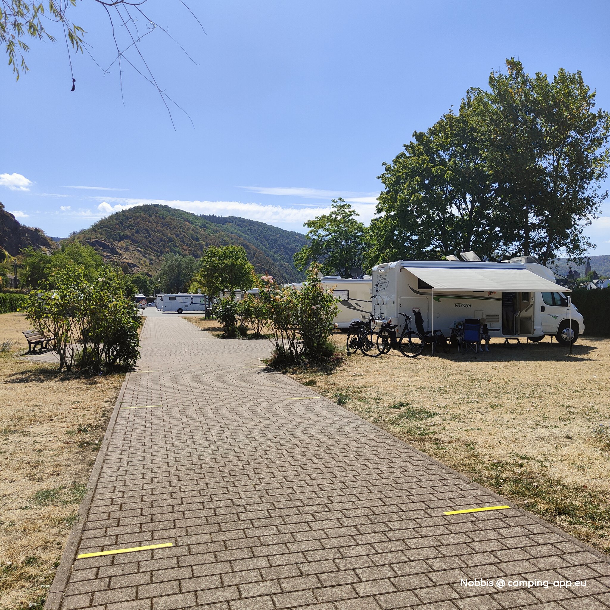 Stellplatz am Rheinufer Braubach