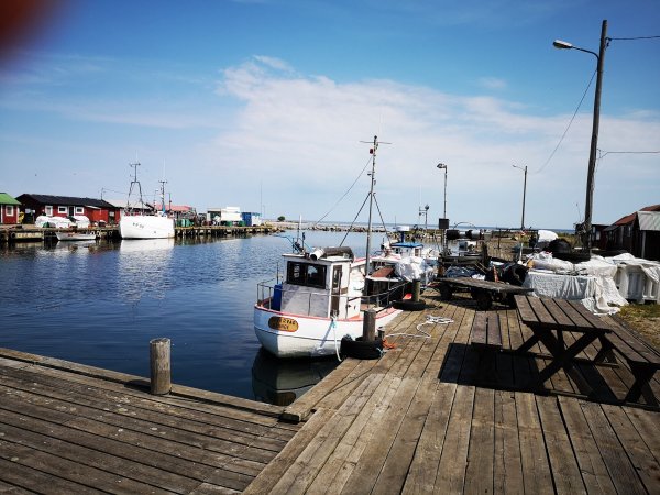 Bläsinge Strand — Photo 4