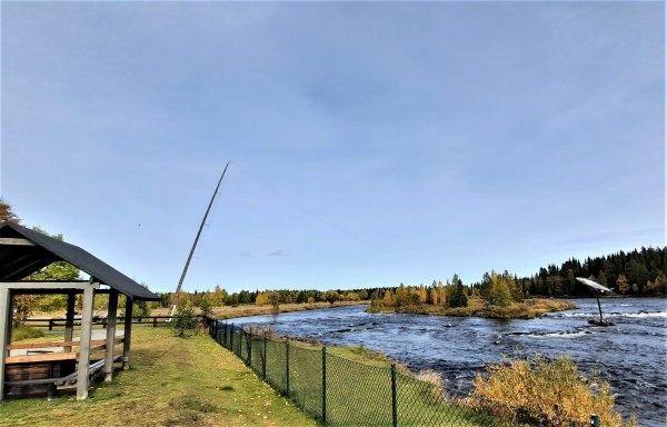 Vojmåns Camping — Kemp in Vilhelmina