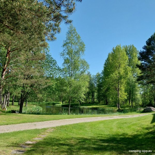 Hagens Camping — Foto 4