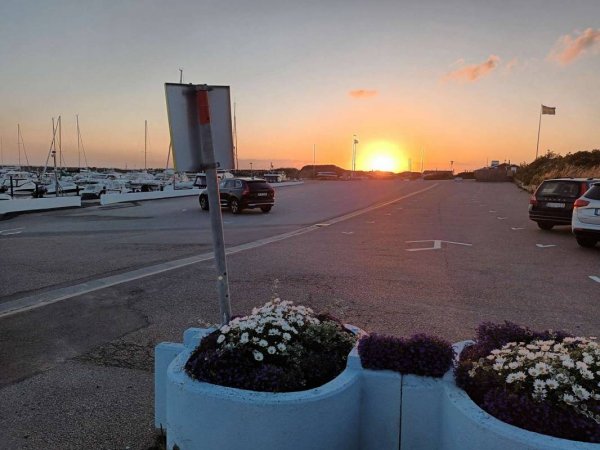 Domstens Batklubb — Photo 4