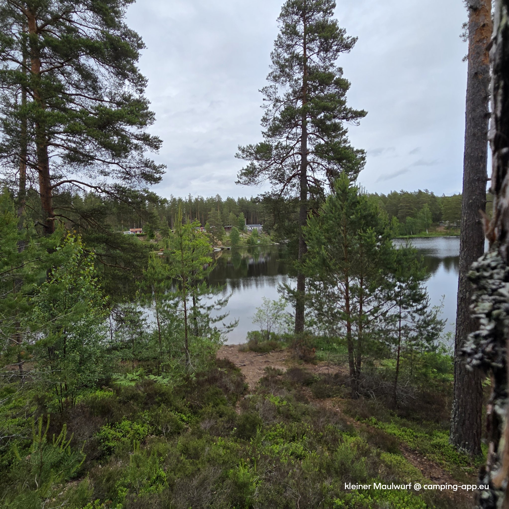 Spilhammars Camping — Foto 5