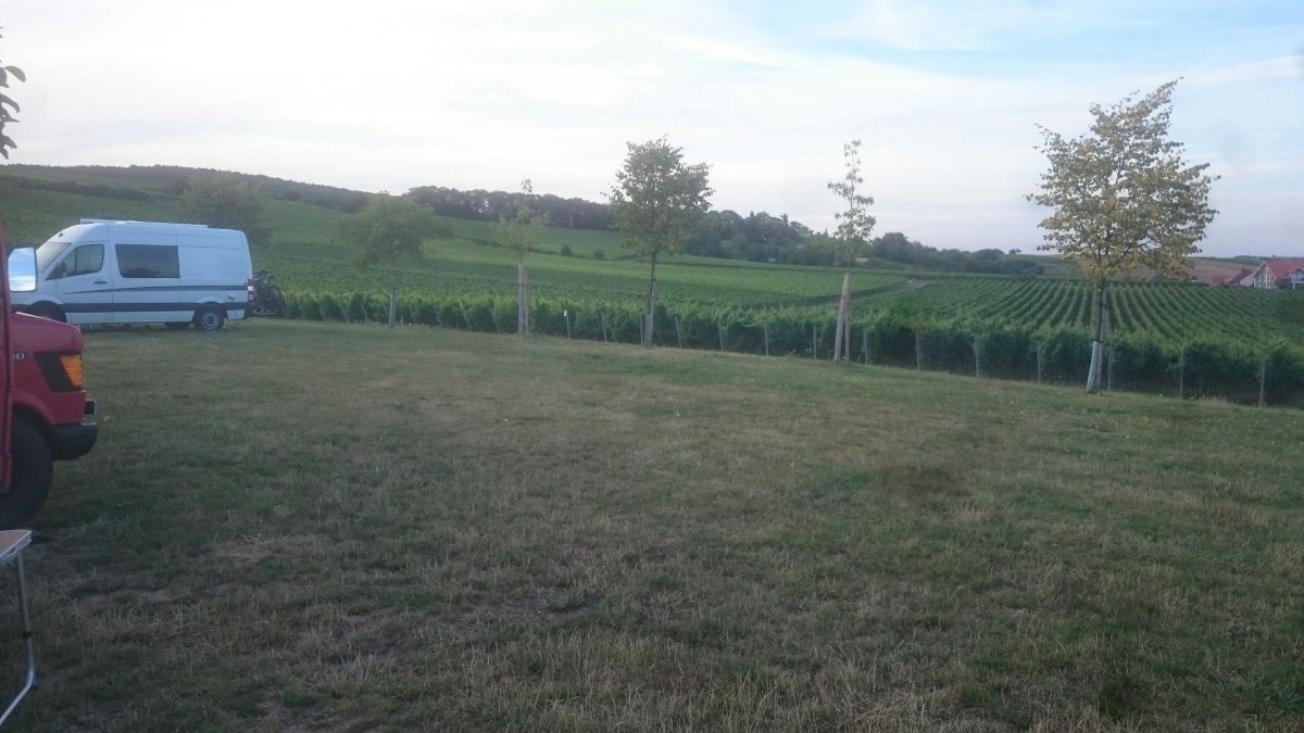 Stellplatz am Weingut Hitziger Bad Bergzabern — Winery in Bad Bergzabern