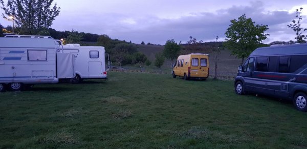 Stellplatz am Weingut Hitziger Bad Bergzabern — Photo 3