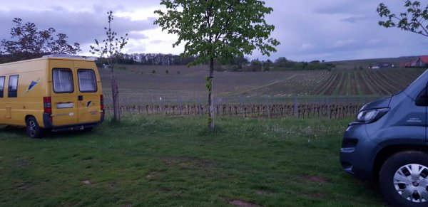 Stellplatz am Weingut Hitziger Bad Bergzabern — Photo 4