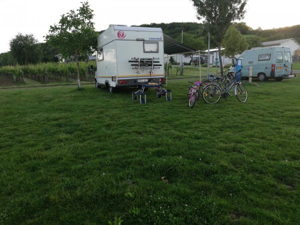 Stellplatz am Weingut Hitziger Bad Bergzabern — Photo 6