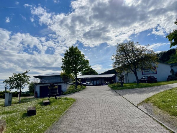 Stellplatz am Weingut Hitziger Bad Bergzabern — Foto 2