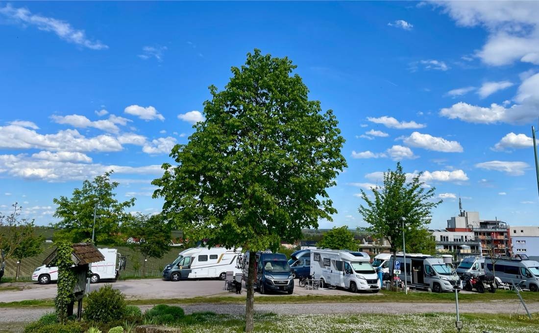 Stellplatz am Weingut Hitziger Bad Bergzabern — Vineri in Bad Bergzabern