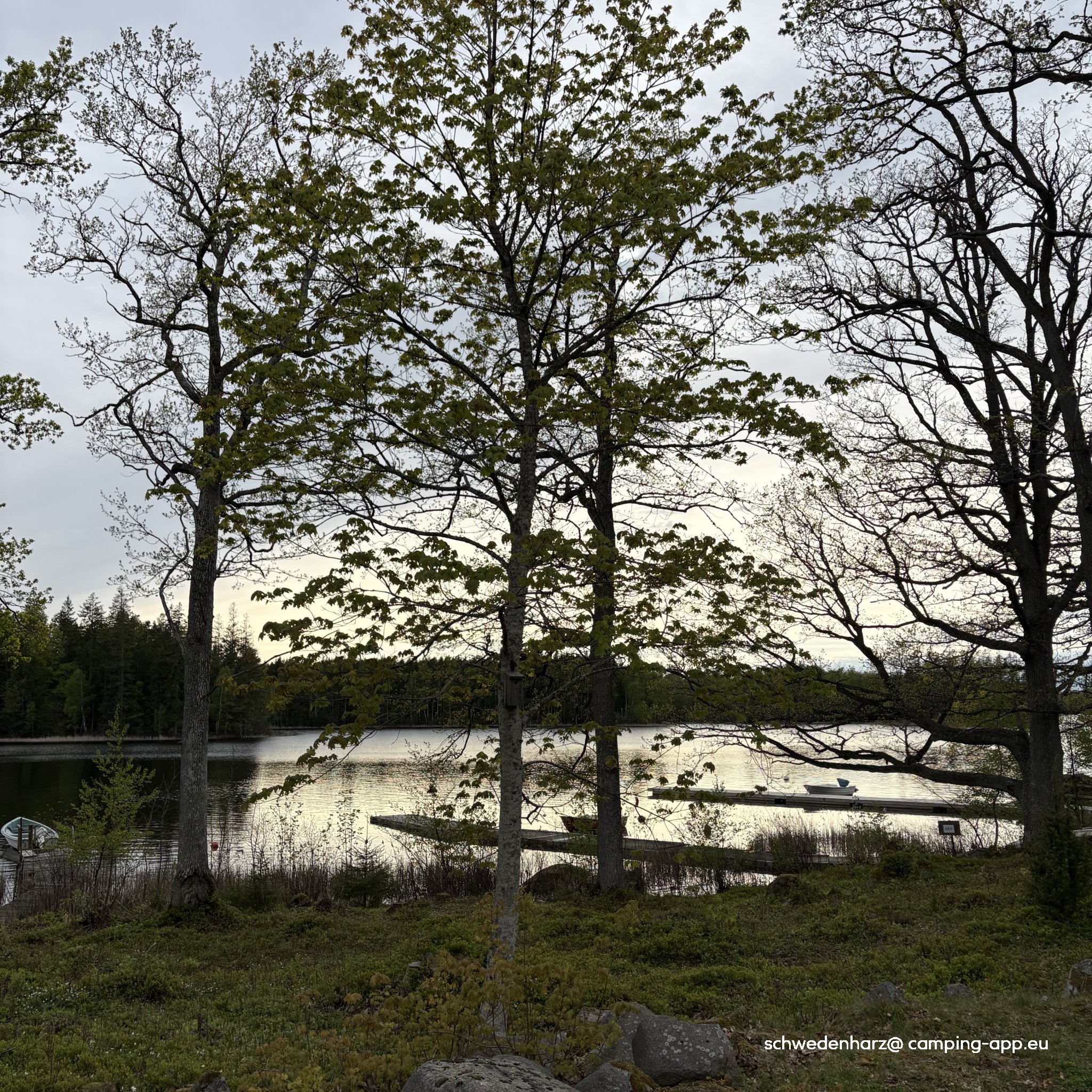 Törestorps Camping — Fotoğraf 6