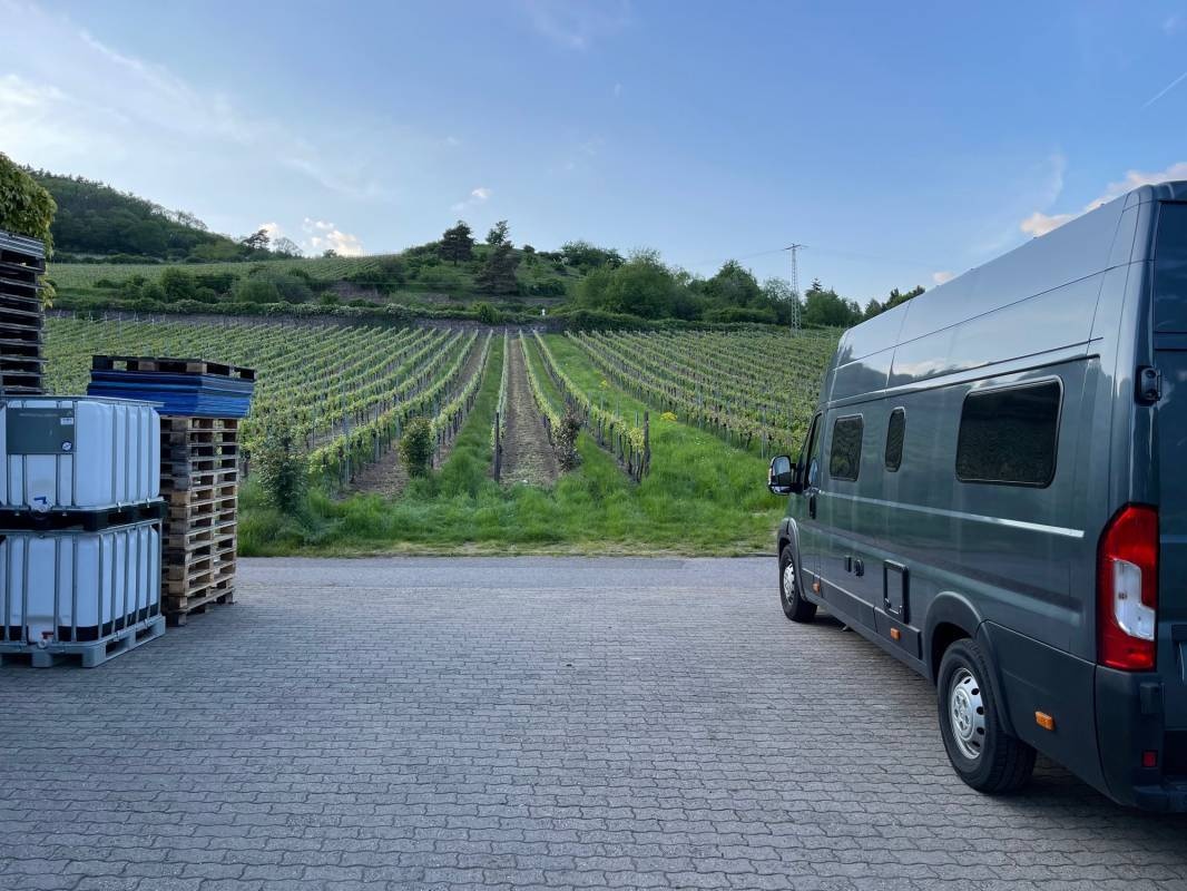 Stellplatz am Weingut Diether Bauer Burrweiler — Winery in Burrweiler