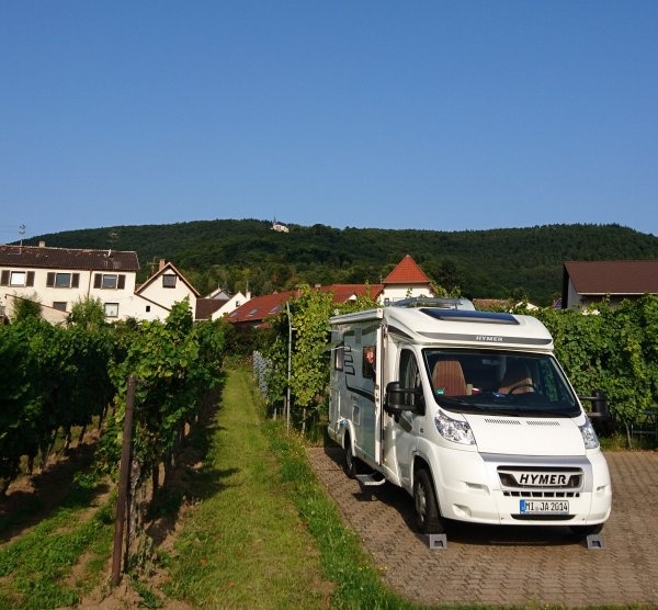 Weingut Hertel — Vingård in Burrweiler