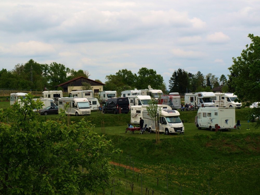 Stellplatz am Familienweingut Geiger Dierbach — Winery in Dierbach