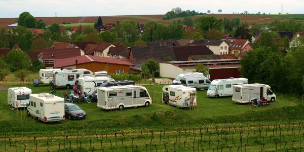 Stellplatz am Familienweingut Geiger Dierbach — Photo 2