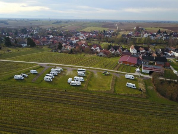 Stellplatz am Familienweingut Geiger Dierbach — Photo 4