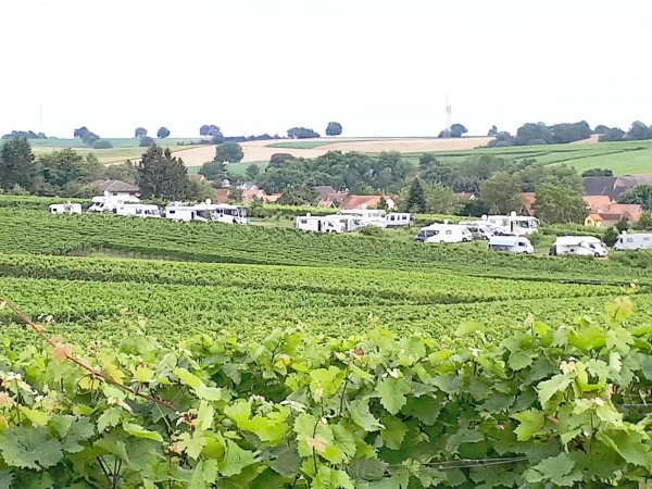 Stellplatz am Familienweingut Geiger Dierbach — Photo 6